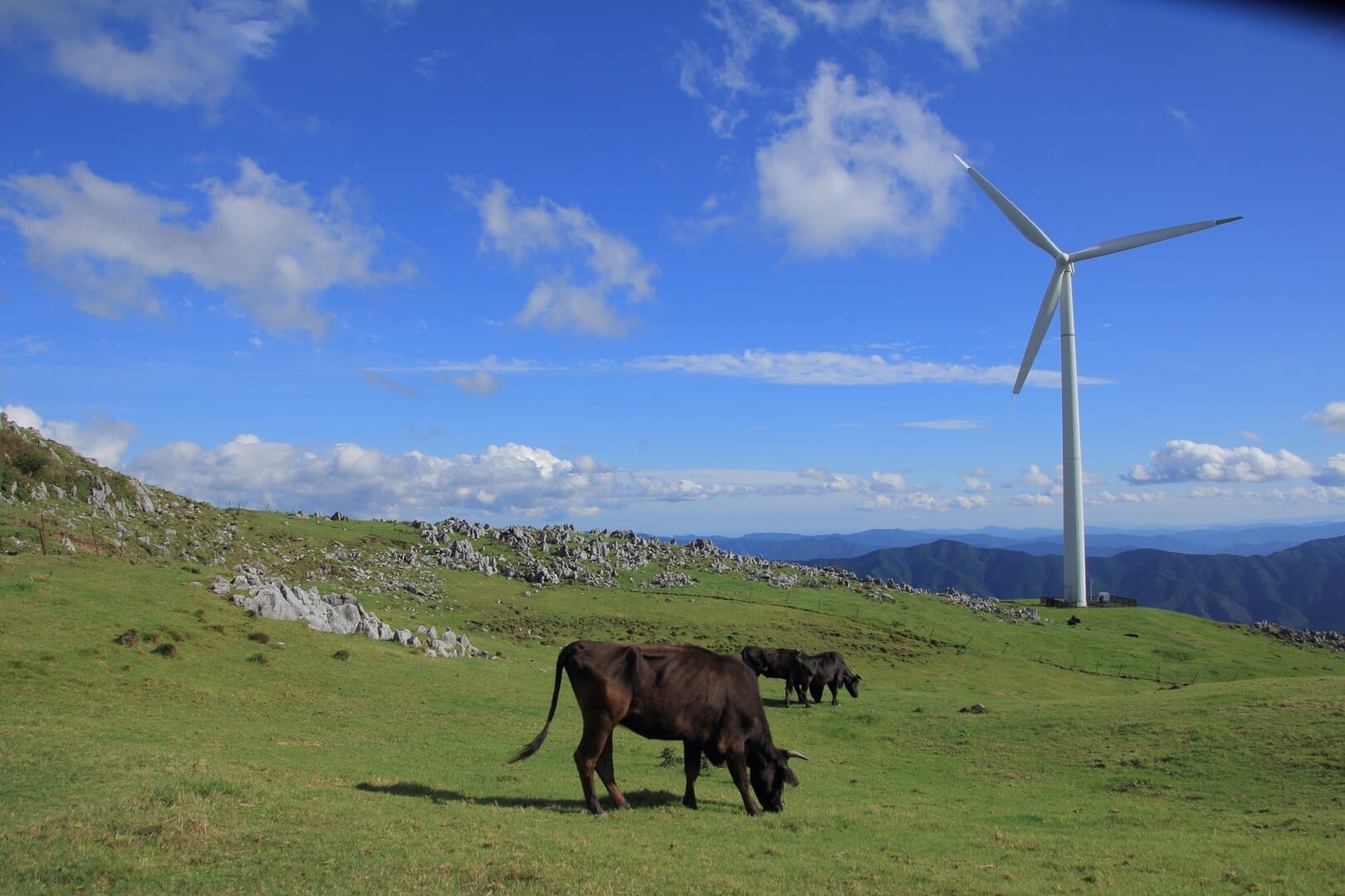 イメージ画像：四国カルストコース