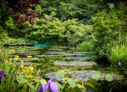 観光スポット画像：「モネの庭」マルモッタン