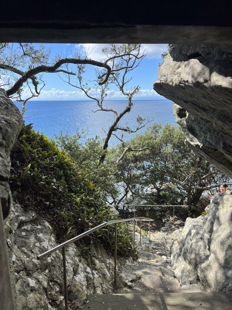 洞窟の中からの景色