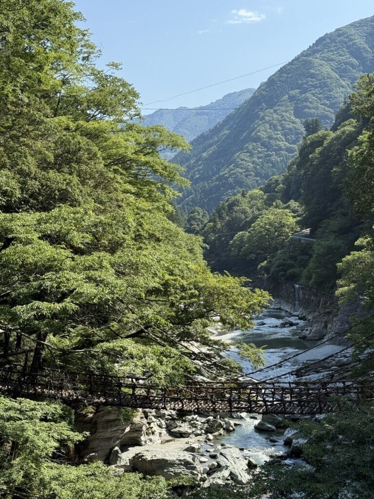 かずら橋の全体の写真