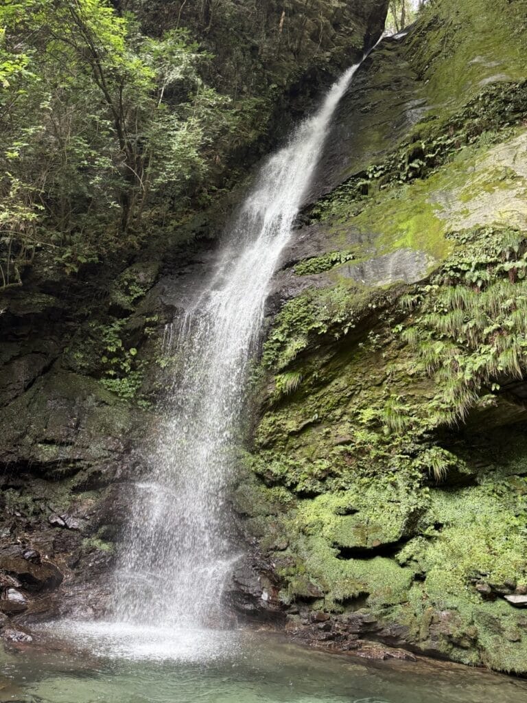 琵琶の滝の写真