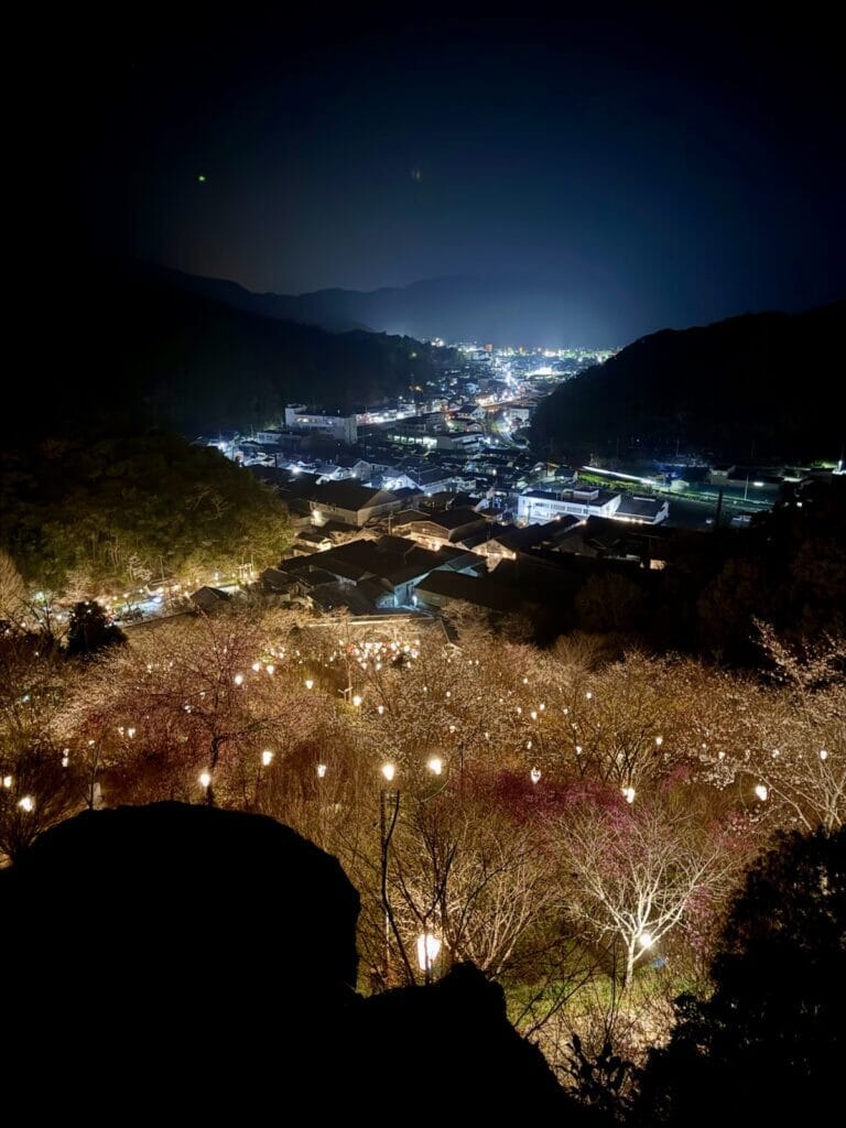 牧野公園からの佐川の街並みの夜景