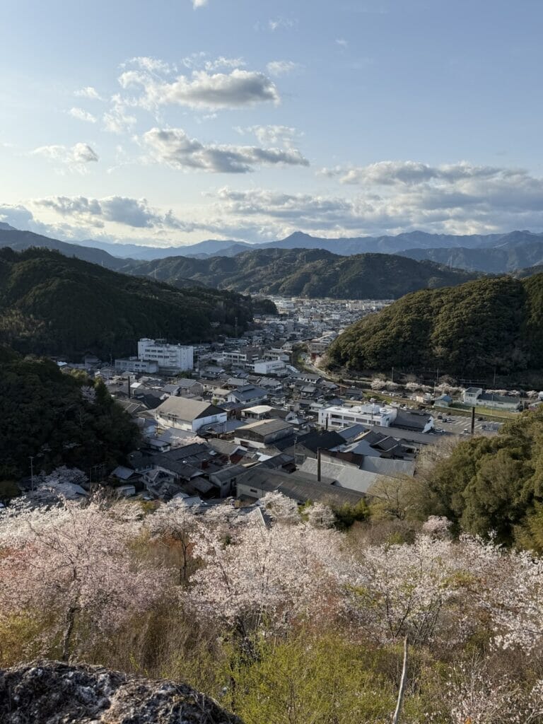牧野公園からの佐川の街並み風景