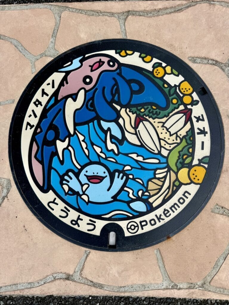 東洋町のマンホールの写真