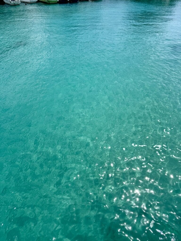 柏島の青い海の写真
